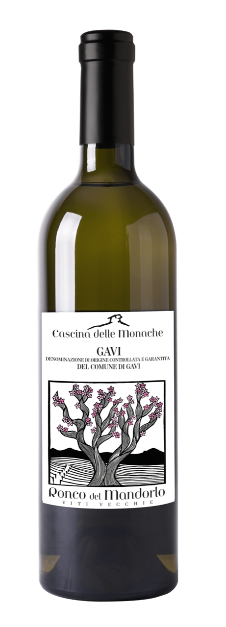 Gavi del Comune di Gavi „Sori della Monaca“
